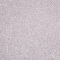 Silk Plaster Майстер Сілк 12